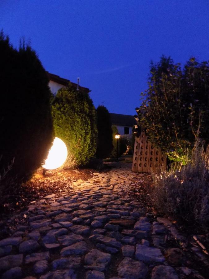 Domaine De La Mance - Maisonnette Avec Cheminee Vitrey-sur-Mance Экстерьер фото