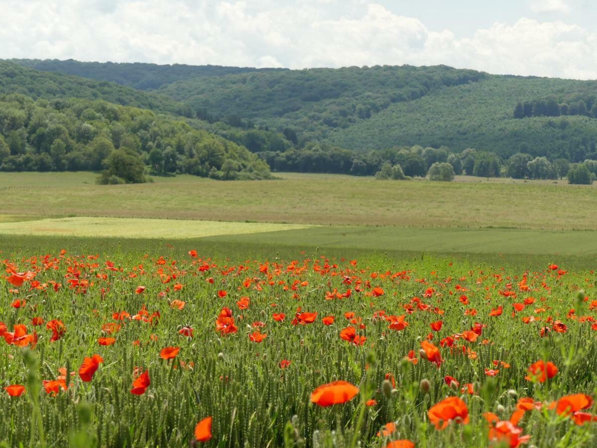 Domaine De La Mance - Maisonnette Avec Cheminee Vitrey-sur-Mance Экстерьер фото