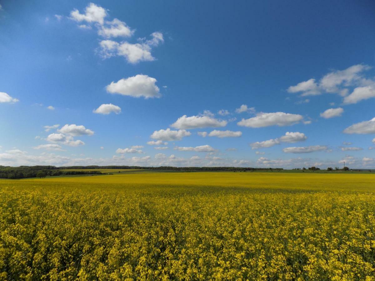 Domaine De La Mance - Maisonnette Avec Cheminee Vitrey-sur-Mance Экстерьер фото
